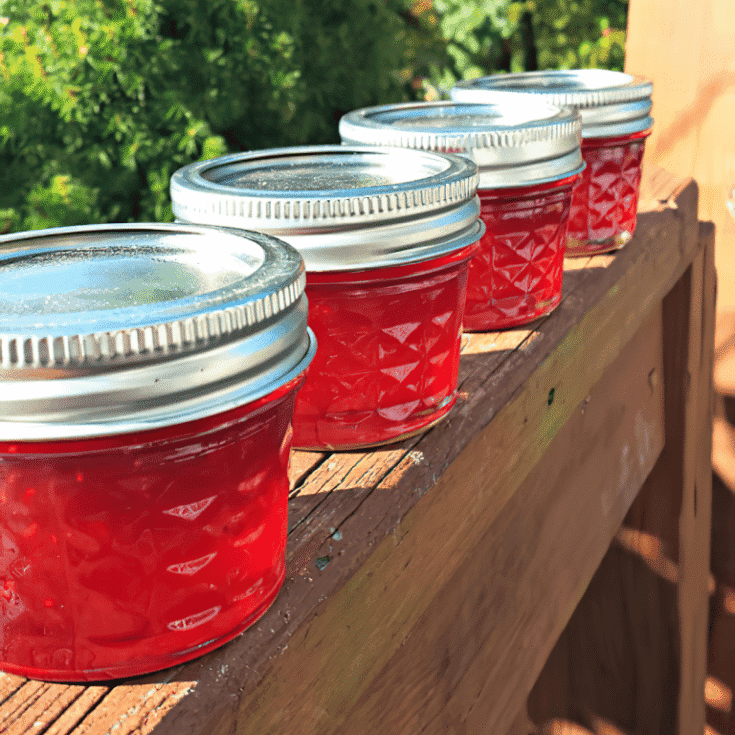 Image for Strawberry Lime Jam