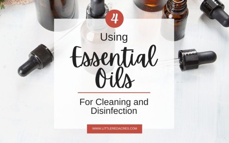 Using Essential Oils For Cleaning and Disinfection
