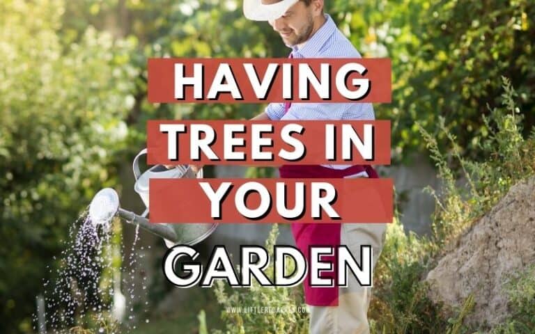 8 Advantages of Having Trees in Your Garden