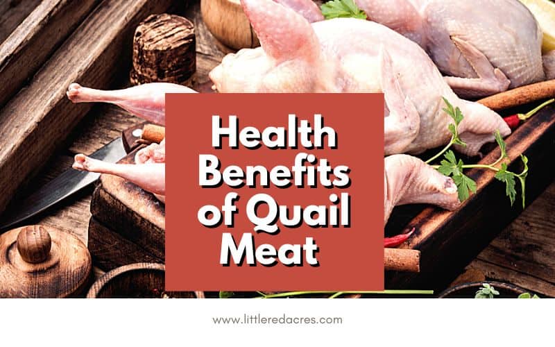 quail meat laid out on tray with text overlay