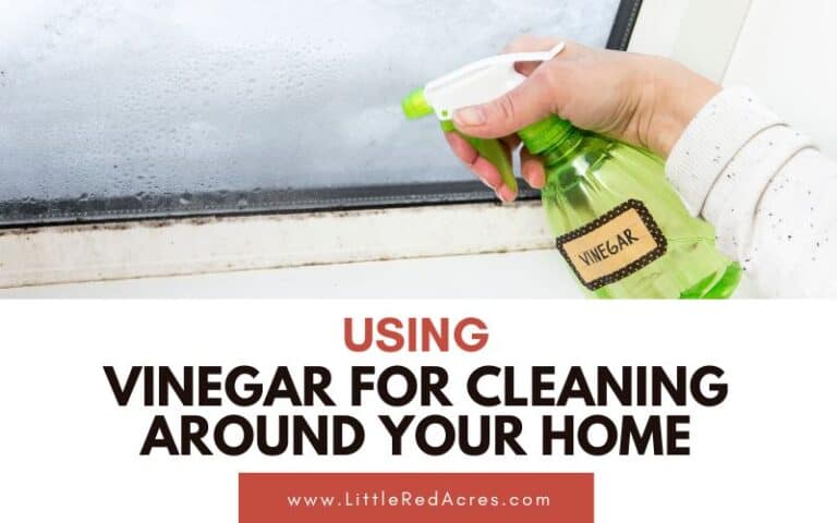 Using Vinegar For Cleaning Around Your Home