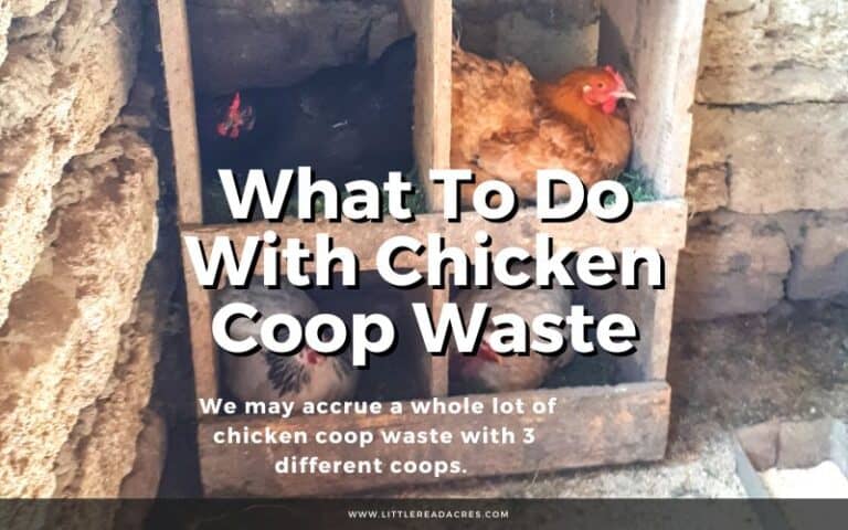 What To Do With Chicken Coop Waste