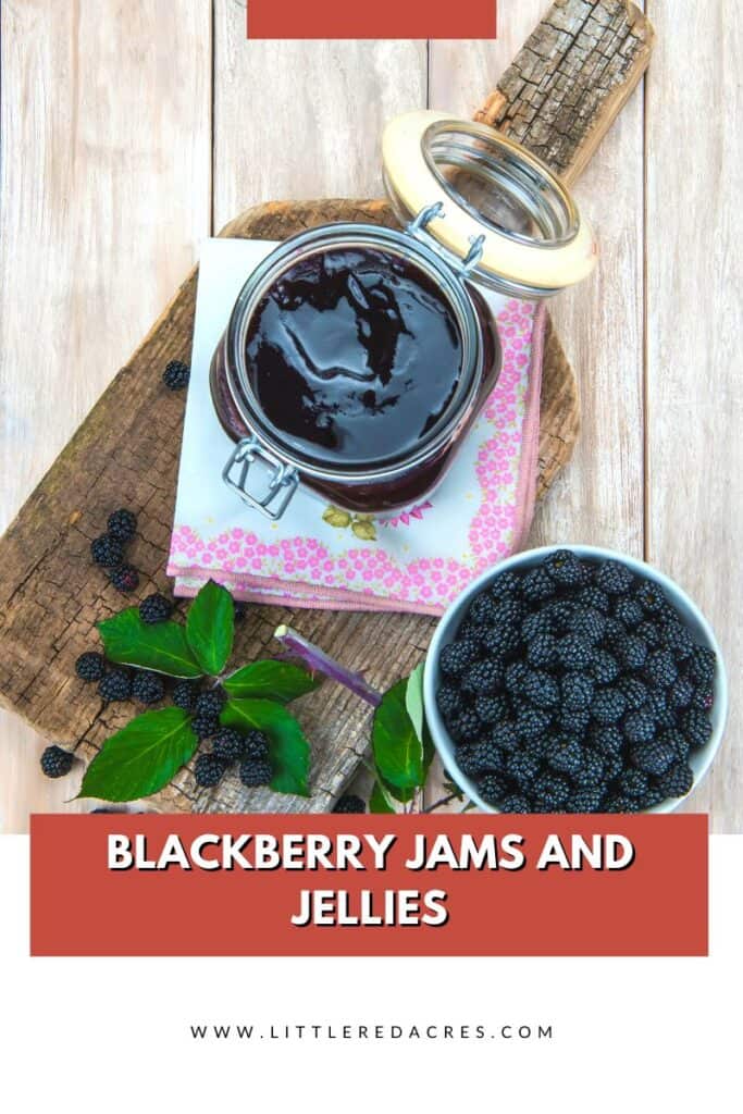 blackberry jam on counter with Blackberry Jams and Jellies text overlay