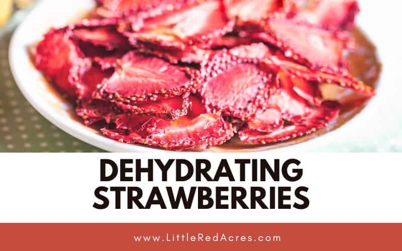 dehydrated strawberries with Dehydrating Strawberries & What to Do with Them text overlay