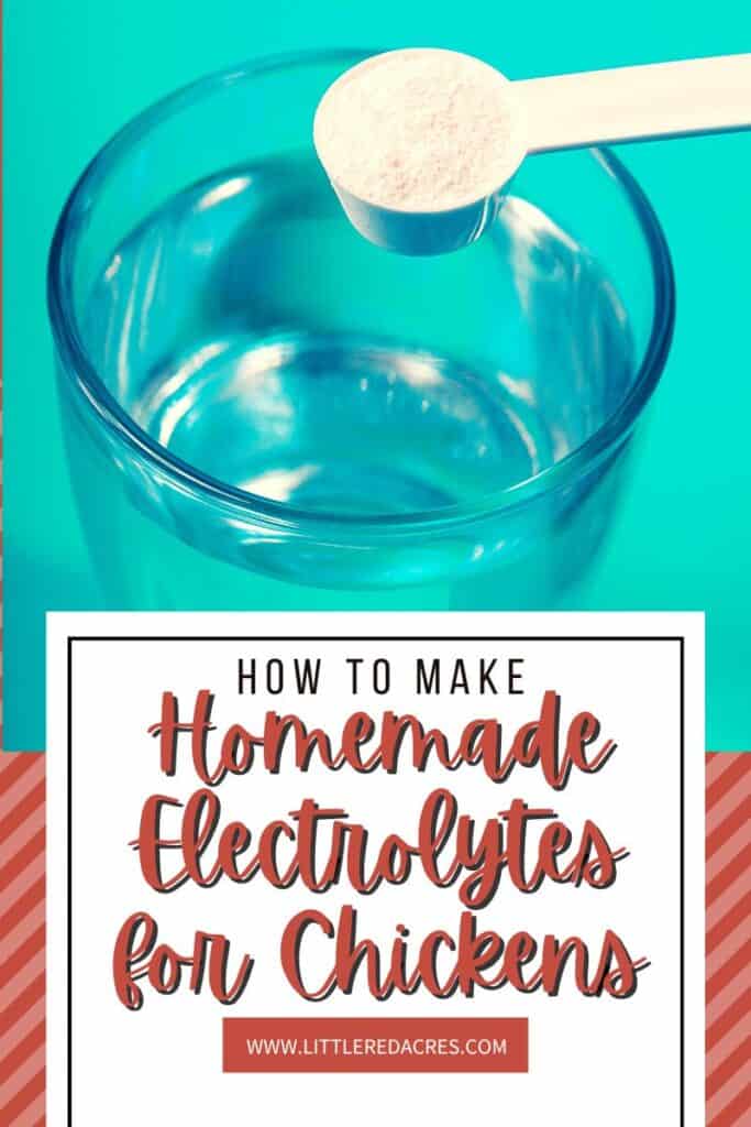 glass of electrolytes with Homemade Electrolytes for Chickens text overlay