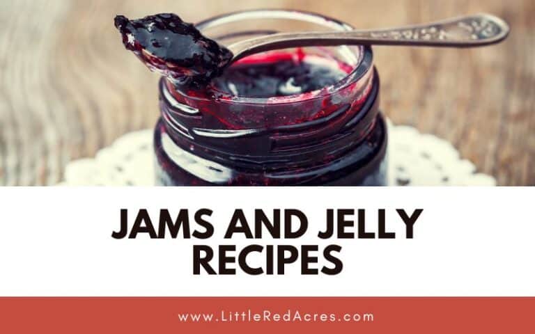Jams and Jelly Recipes