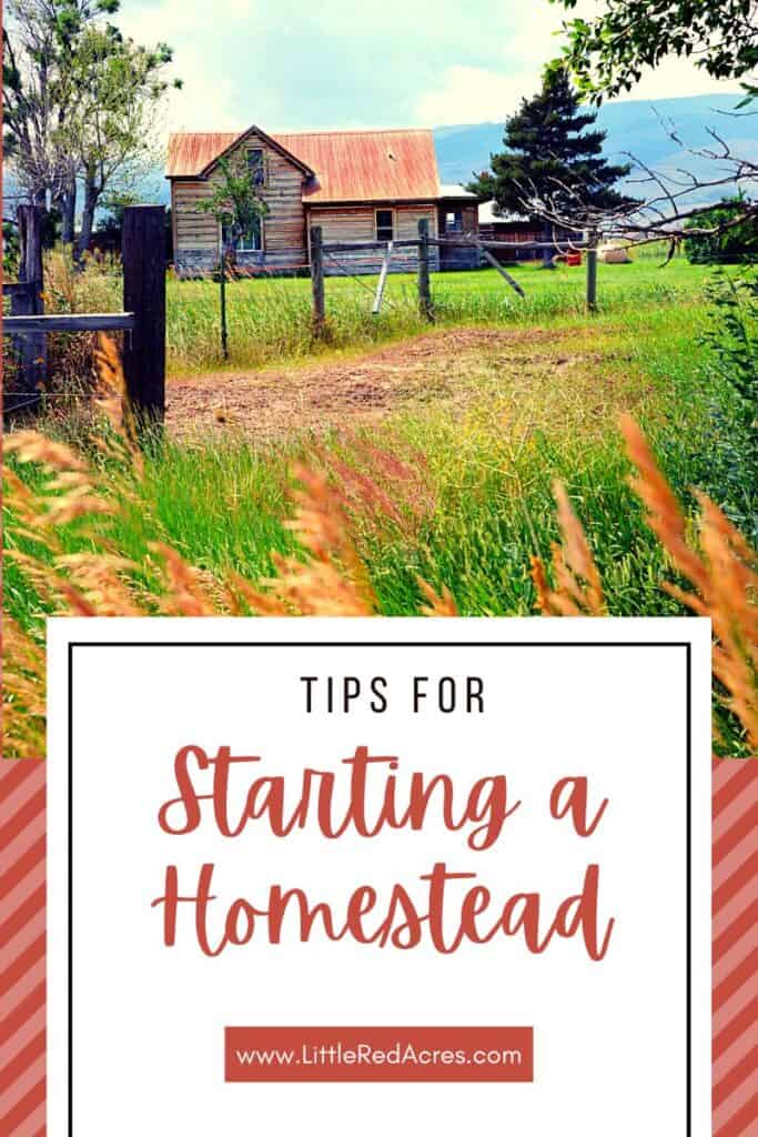 house in the distance with Tips for Starting A Homestead text overlay