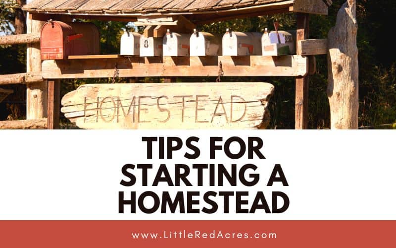 mail boxes over homestead sign with Tips for Starting A Homestead text overlay