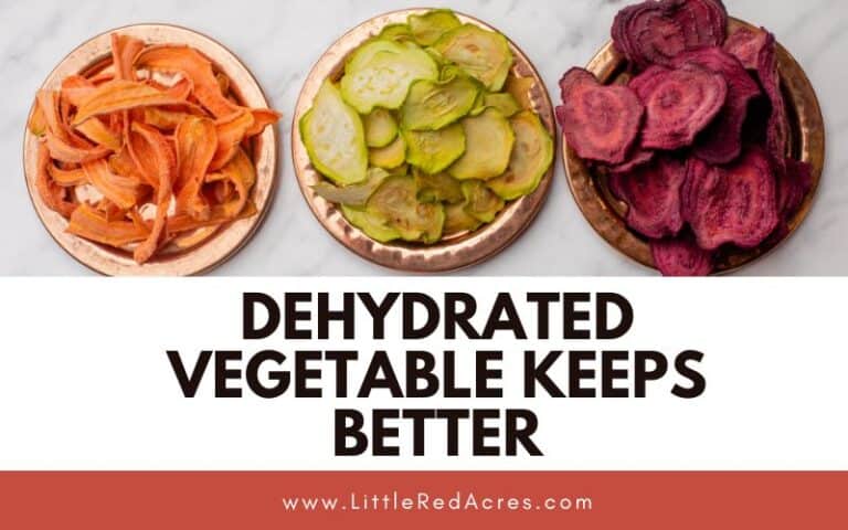 Why Dehydrated Vegetable Keeps Better