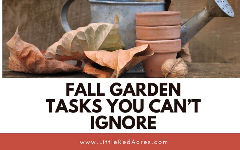garden toosl with Fall Garden Tasks You Can’t Ignore text overlay