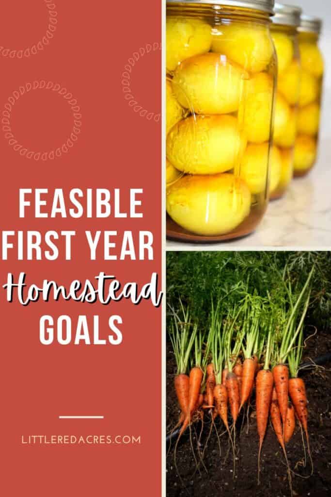 photo of carrots & pickled eggs with Feasible First Year Homesteading Goals text overlay