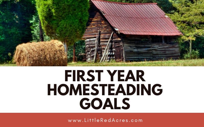 homestead photo with Feasible First Year Homesteading Goals text overlay
