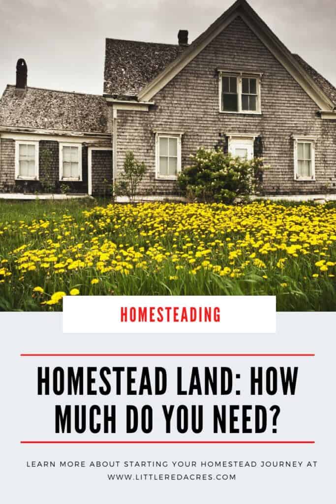 homestead house with yellow flowers in front with Homestead Land How Much Do You Need text overlay