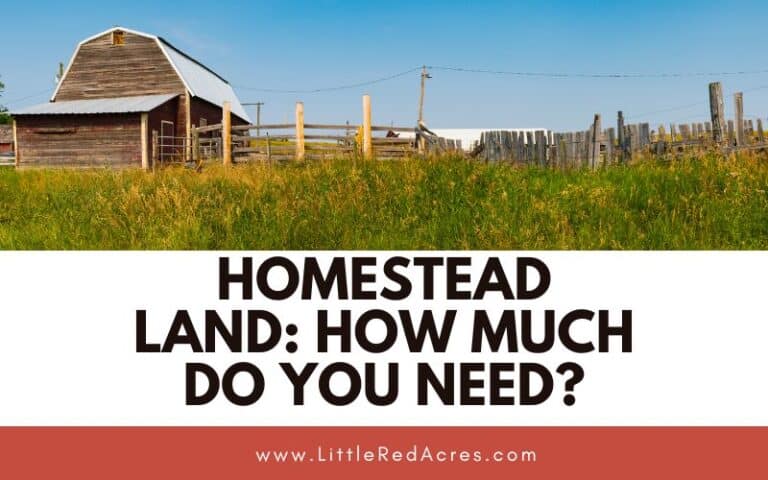 Homestead Land: How Much Do You Need?