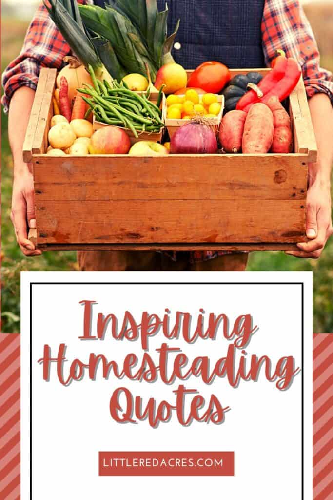 box of fresh veggies with Inspiring Homesteading Quotes text overlay