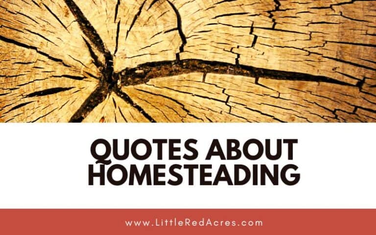 Inspiring Homesteading Quotes