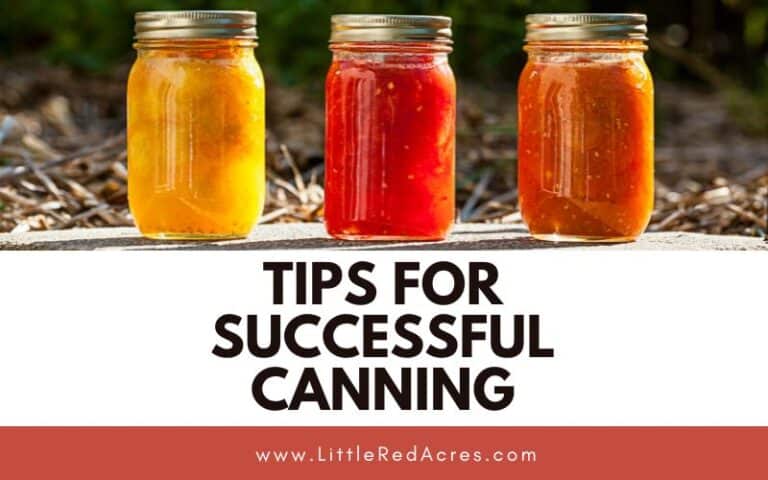 Tips for Successful Canning and Freezing