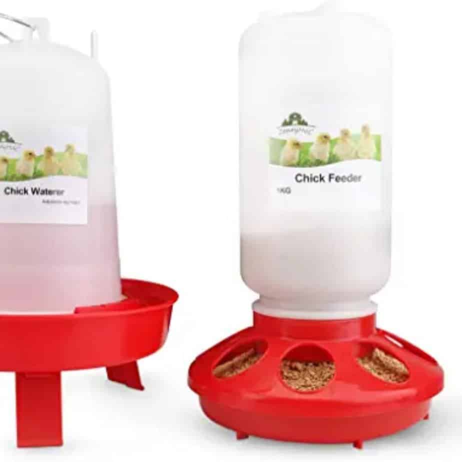 chick feeder and waterer