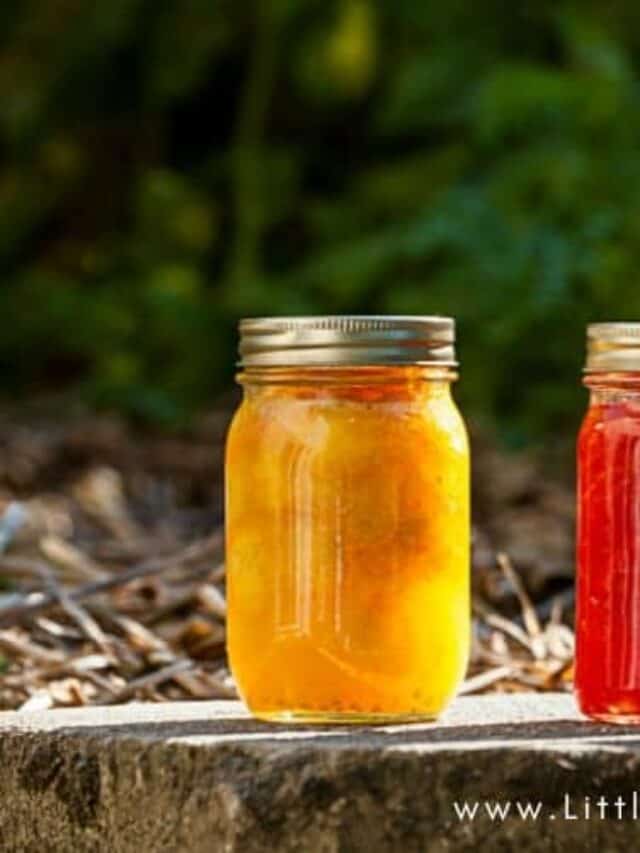 cropped-Tips-for-Successful-Canning-and-Freezing1-1.jpg