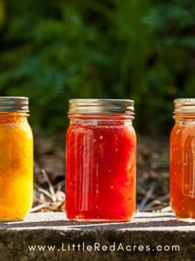 Equipment Needed for Canning