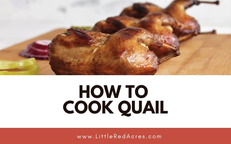 cooked quail on cutting board wit how to cook quail text overlay