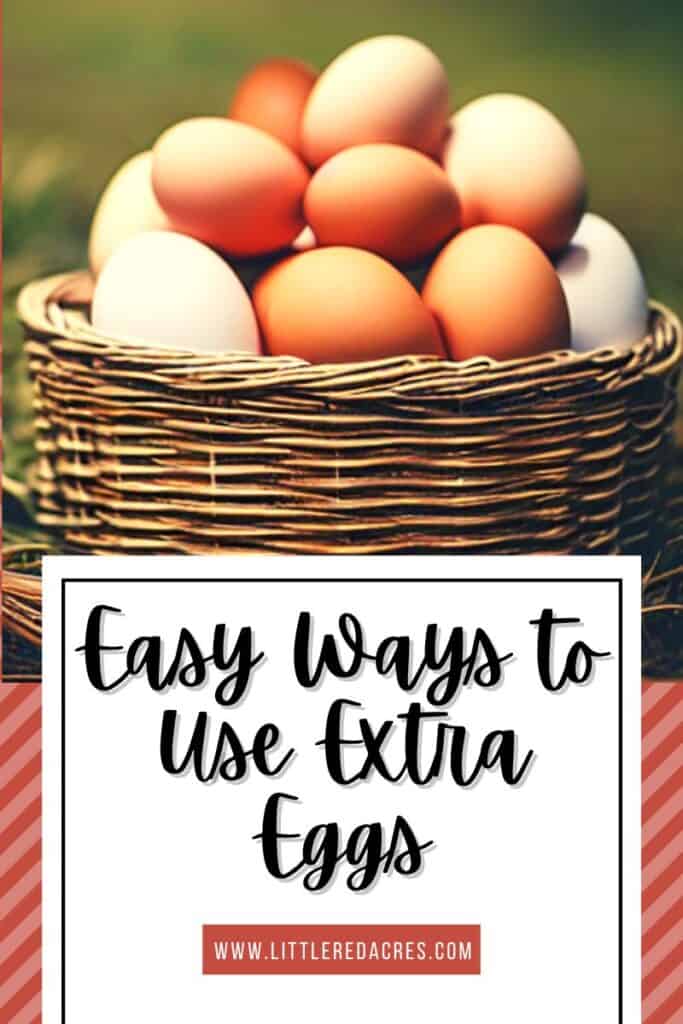 farm fresh eggs in a basket with Easy Ways to Use Extra Eggs text overlay