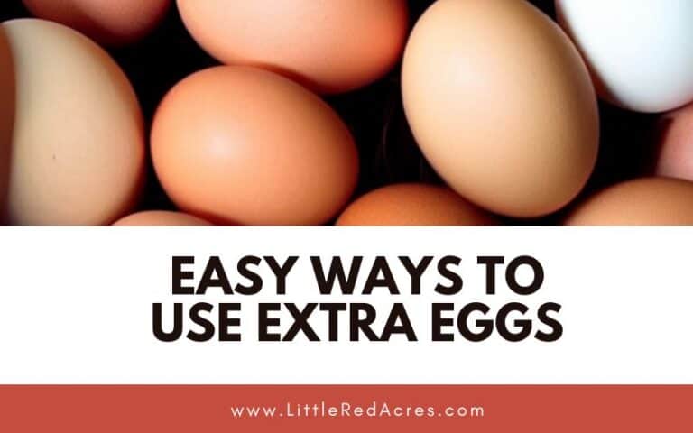 Easy Ways to Use Extra Eggs