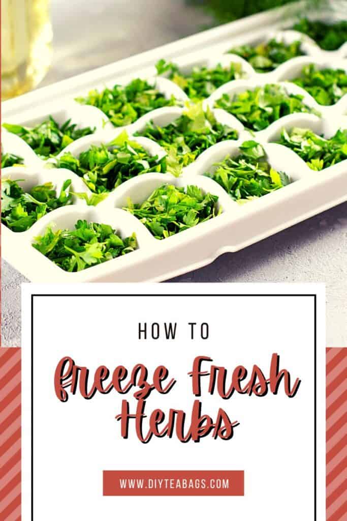 herbs in ice cube tray with how to freeze fresh herbs overlay