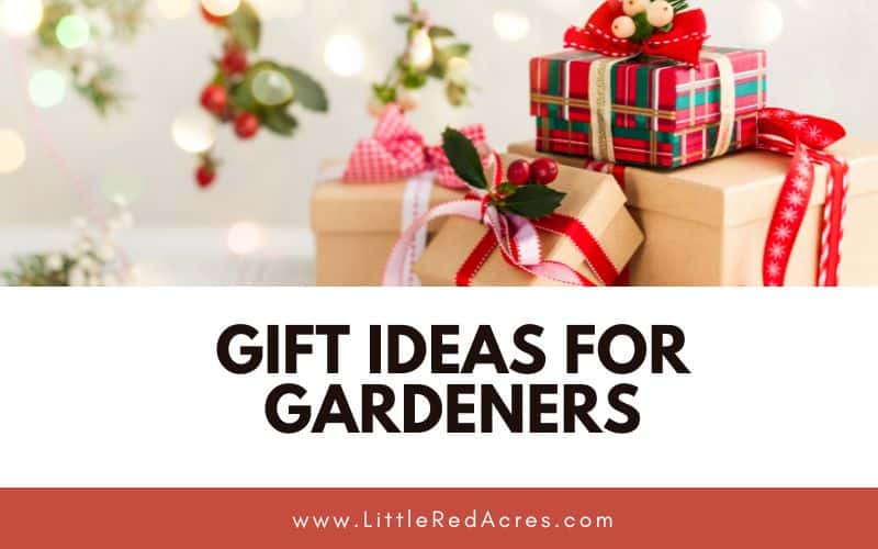 christmas gifts under a tree with Gift Ideas for Gardeners text overlay