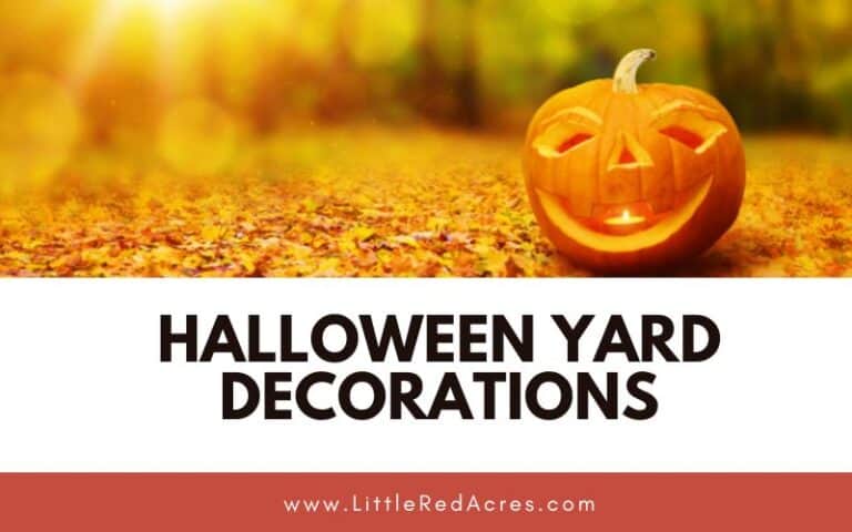 Halloween Yard Decorations
