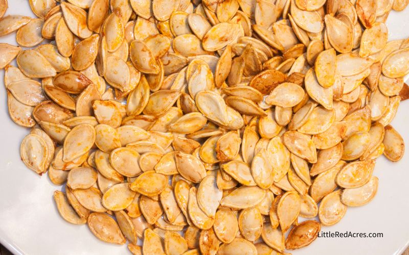 roasted pumpkin seeds in white dish