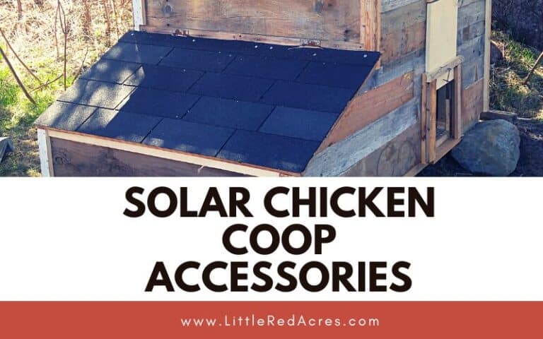 Solar Chicken Coop Accessories