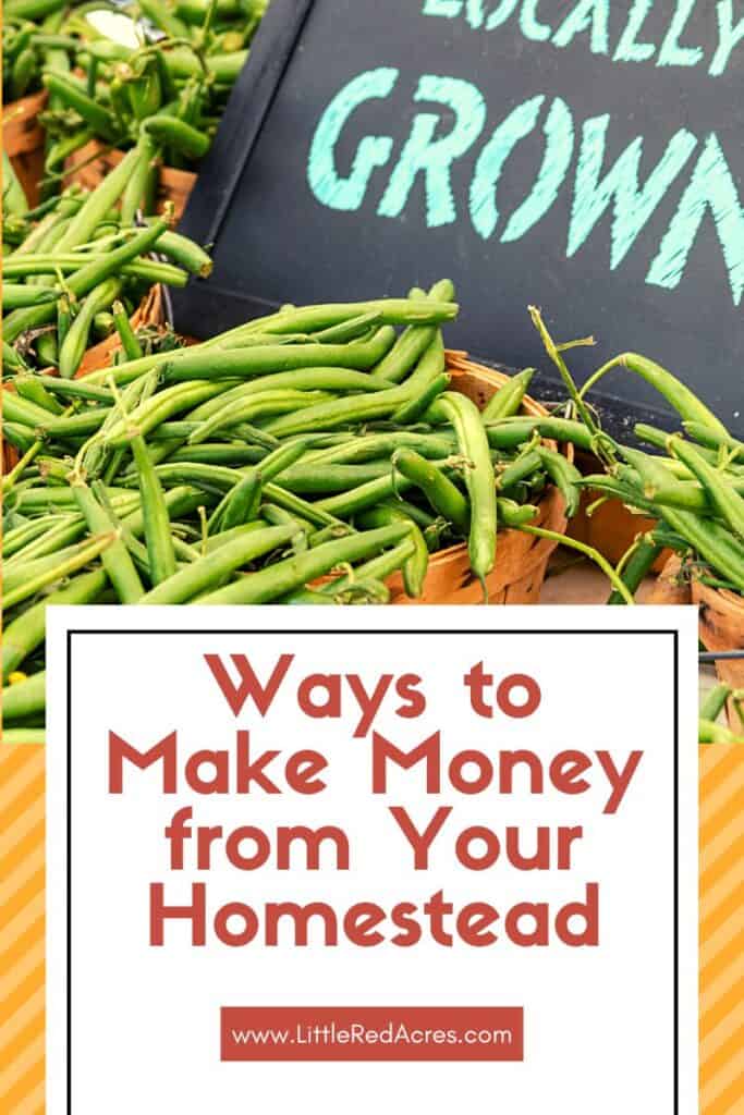 locally grown green beans with 45 Ways to Make Money from Your Homestead overlay
