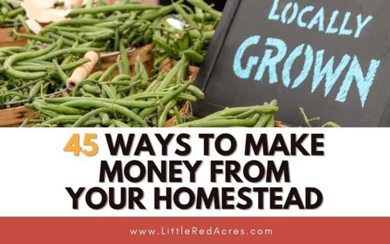 45 Ways to Make Money from Your Homestead