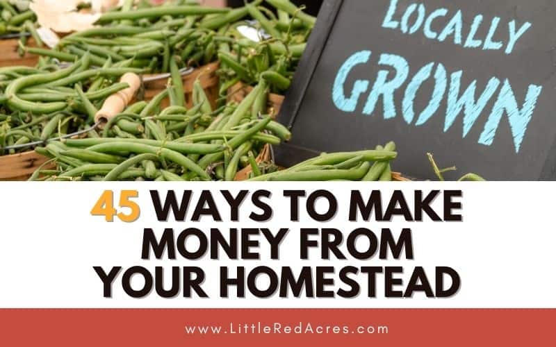 locally grown green beans with 45 Ways to Make Money from Your Homestead overlay