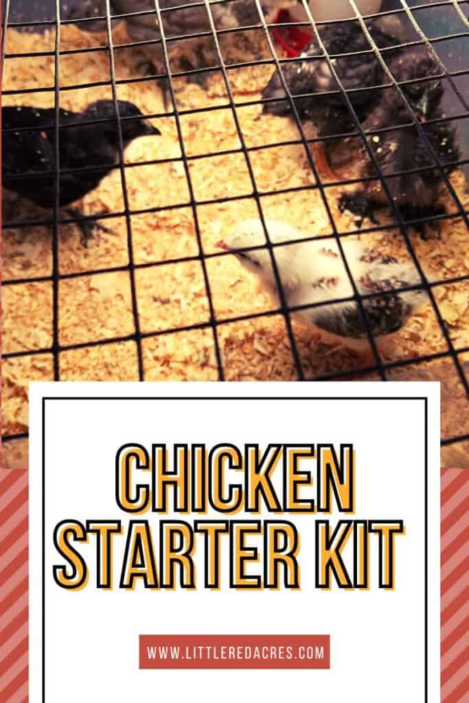 chicks in brooder with Chicken Starter Kit text overlay