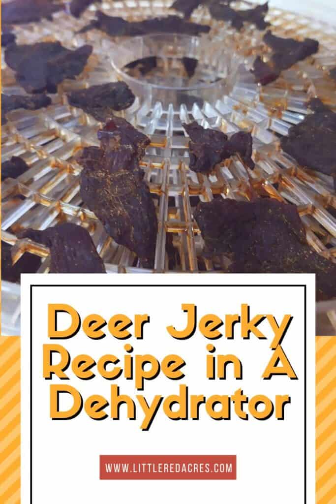 jerky on dehydrator with Deer Jerky Recipe in A Dehydrator text overylay
