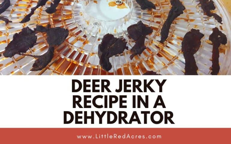 Deer Jerky Recipe in A Dehydrator