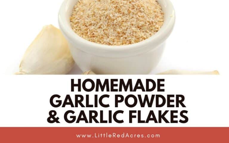 Homemade Garlic Powder & Garlic Flakes
