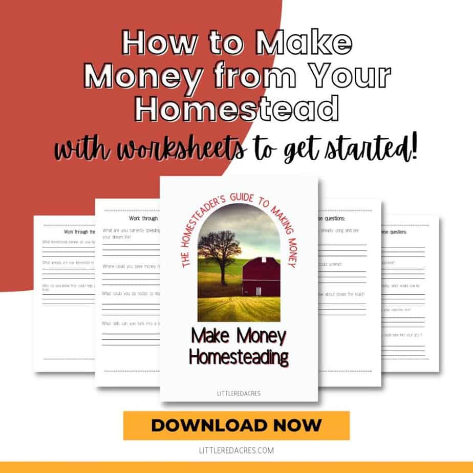 How to Make Money from Your Homestead worksheet samples