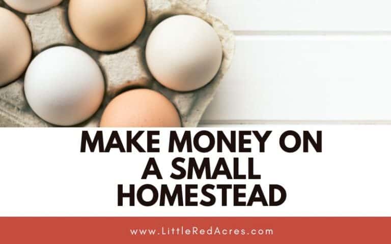 Make Money on A Small Homestead
