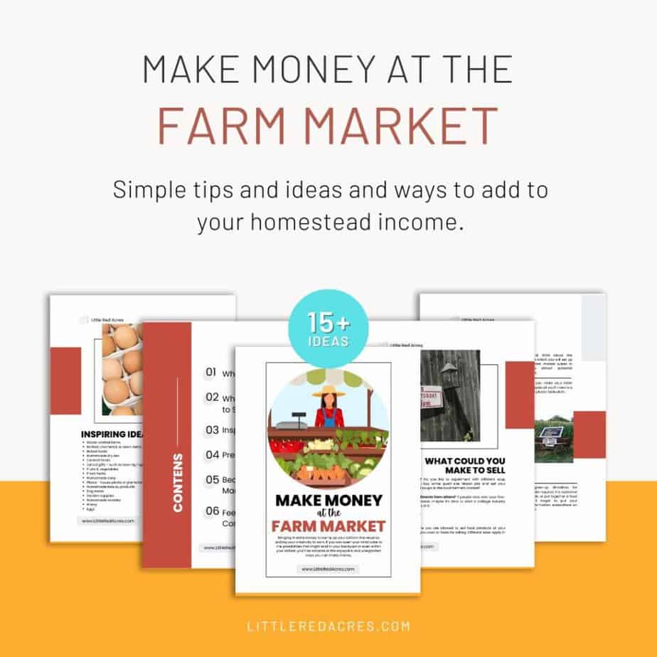 Make money at the farm market sample pages