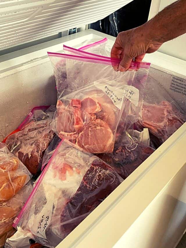 Vacuum Sealing on Your Homestead