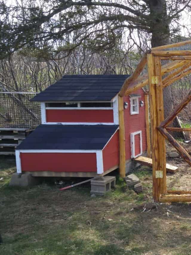 chicken coop