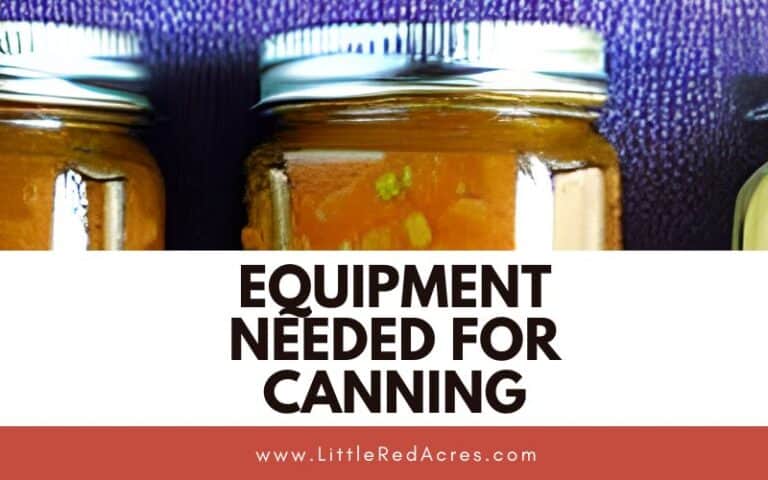 Equipment Needed for Canning