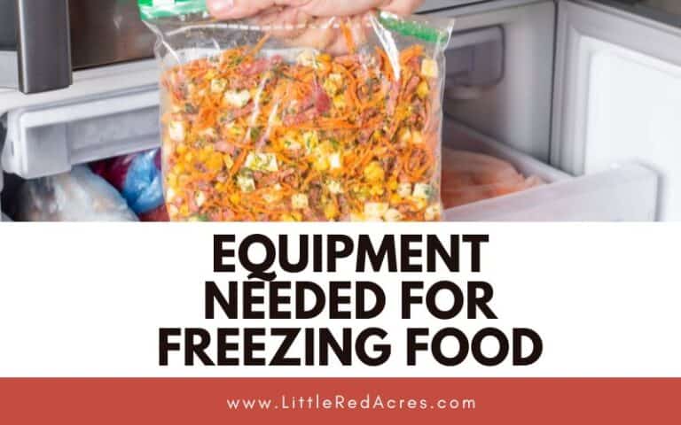 Equipment Needed for Freezing Food