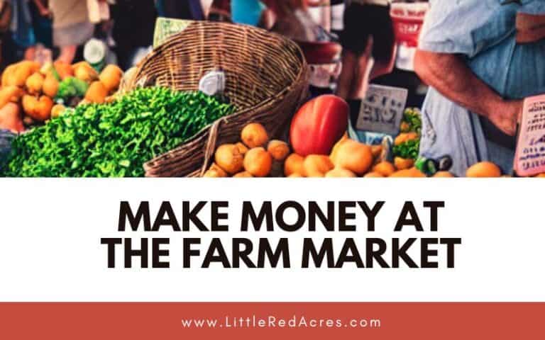 Make Money at the Farm Market