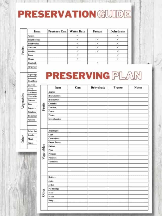 preserving plan sample pages