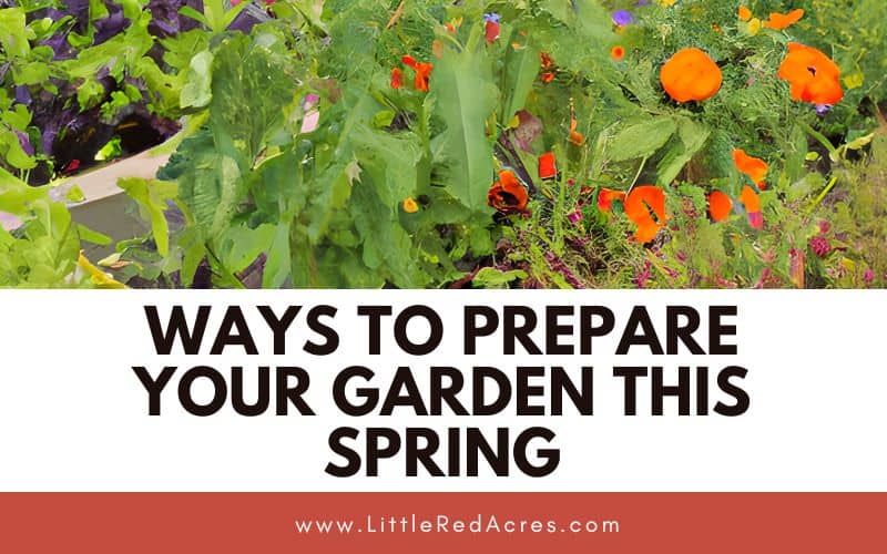 garden bed with 7 Ways to Prepare Your Garden This Spring text overlay