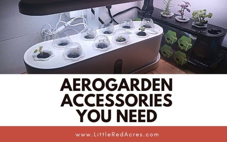 AeroGarden Accessories You Need